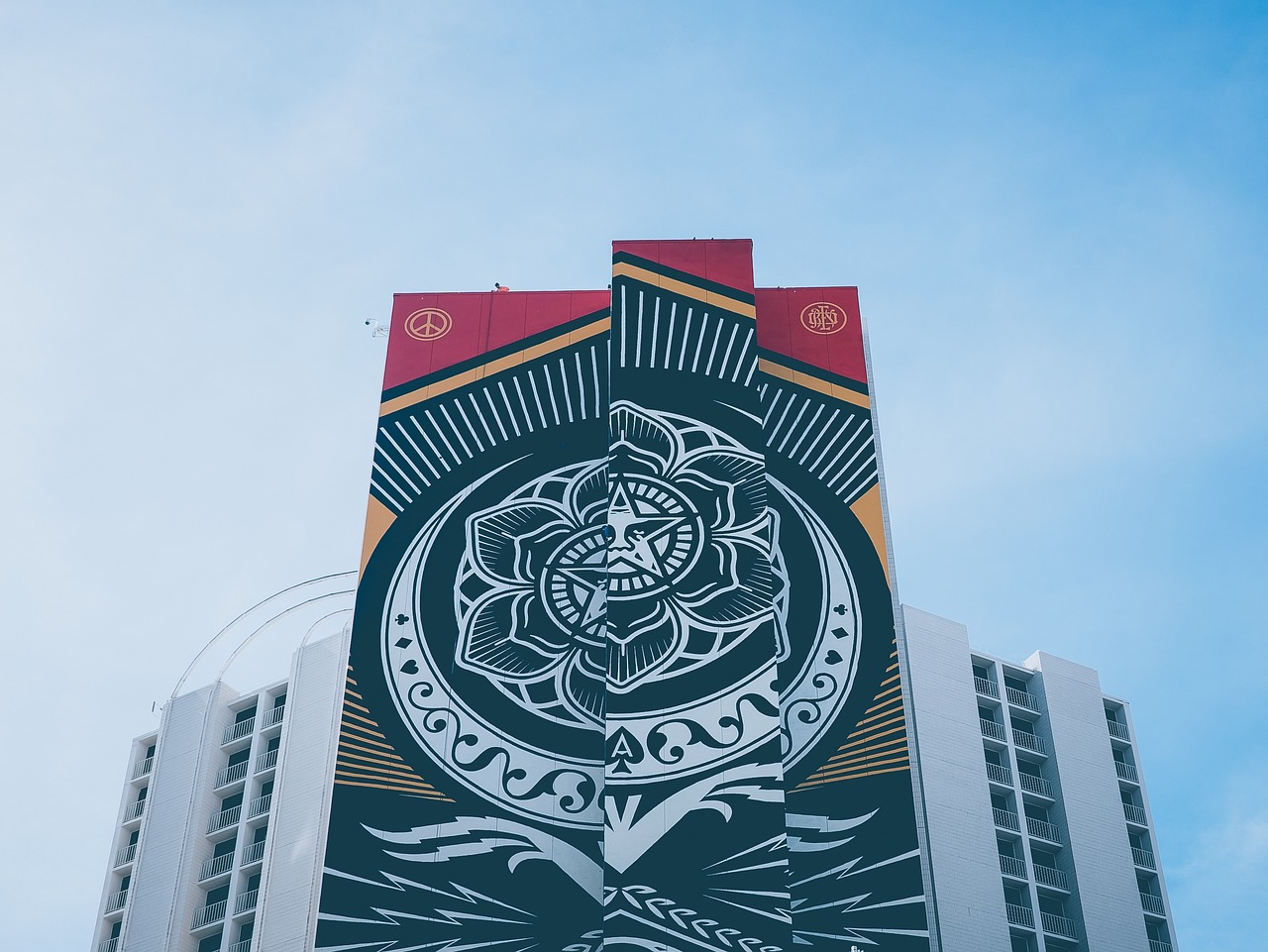 可爱奖 第29页